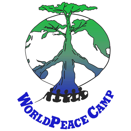 Summer Camp Logo